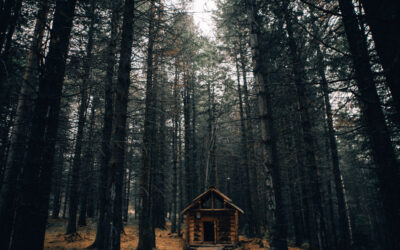 Casa di legno da giardino per il relax estivo